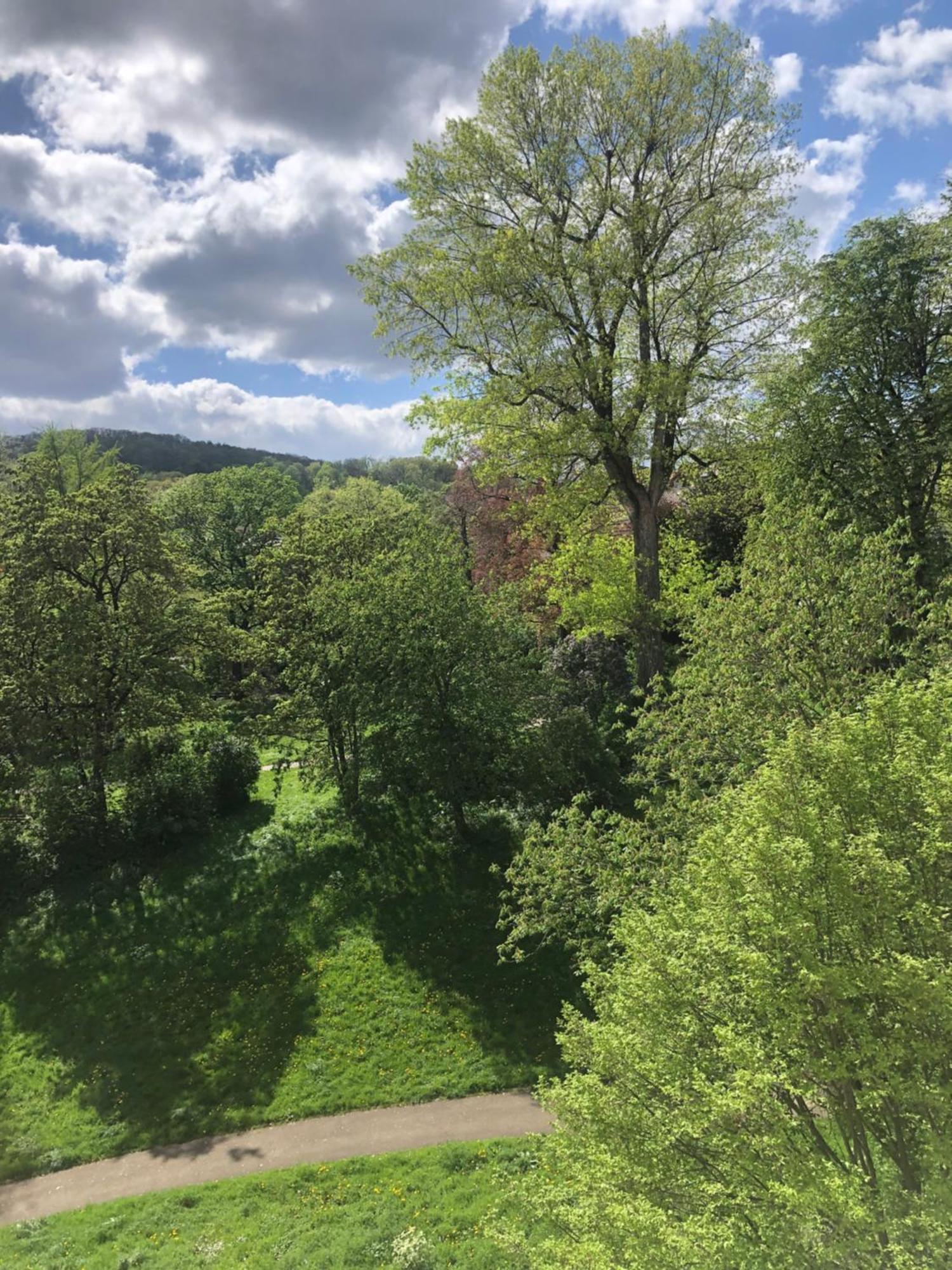 Zimmer Mit Parkblick Щутгарт Екстериор снимка
